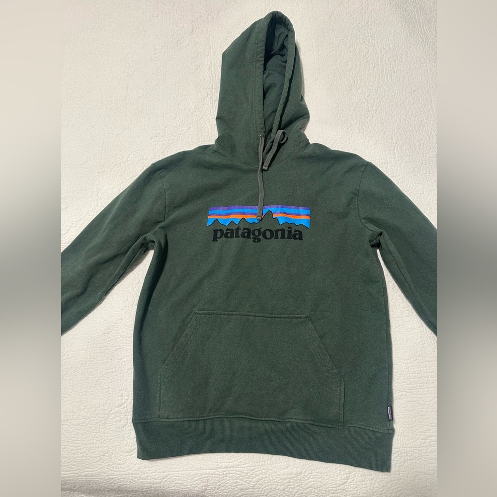 Patagonia Sweatshirt Green